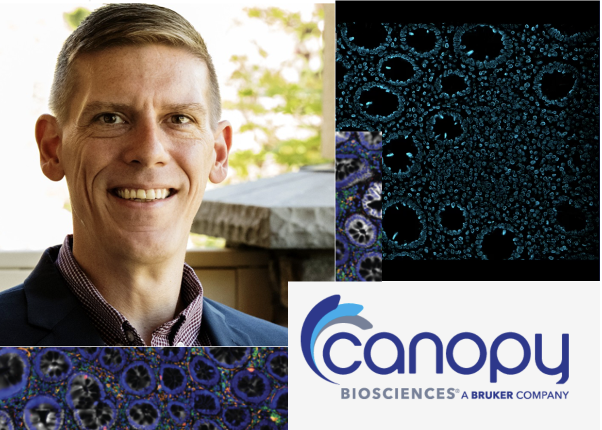 Scsap Single Cell Spatial Analysis 